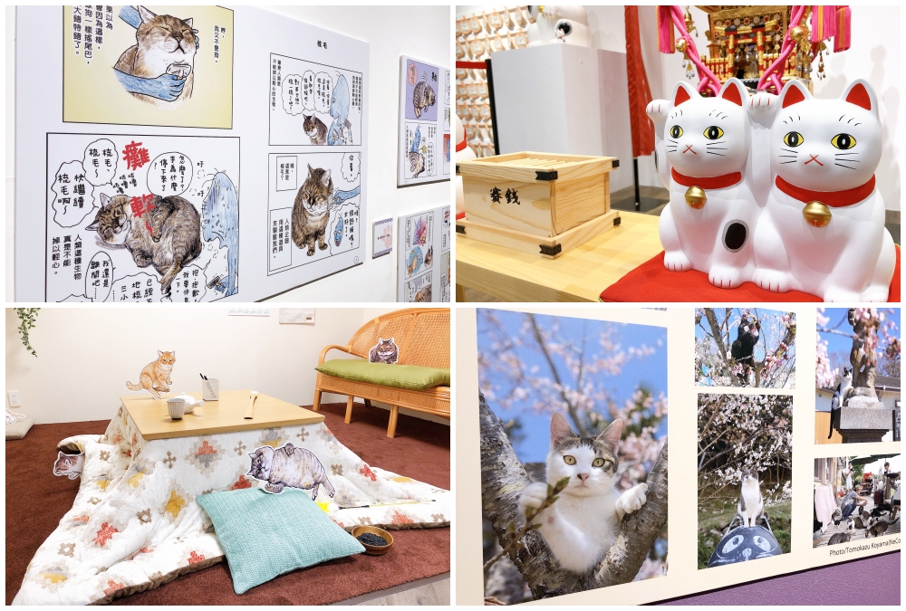 日本福貓展(圖/編輯Ashley Tsai拍攝)