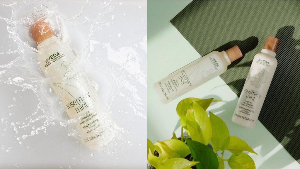 Aveda 迷迭薄荷系列