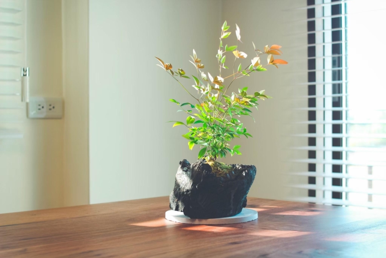空間種植物也是修復地球的行動