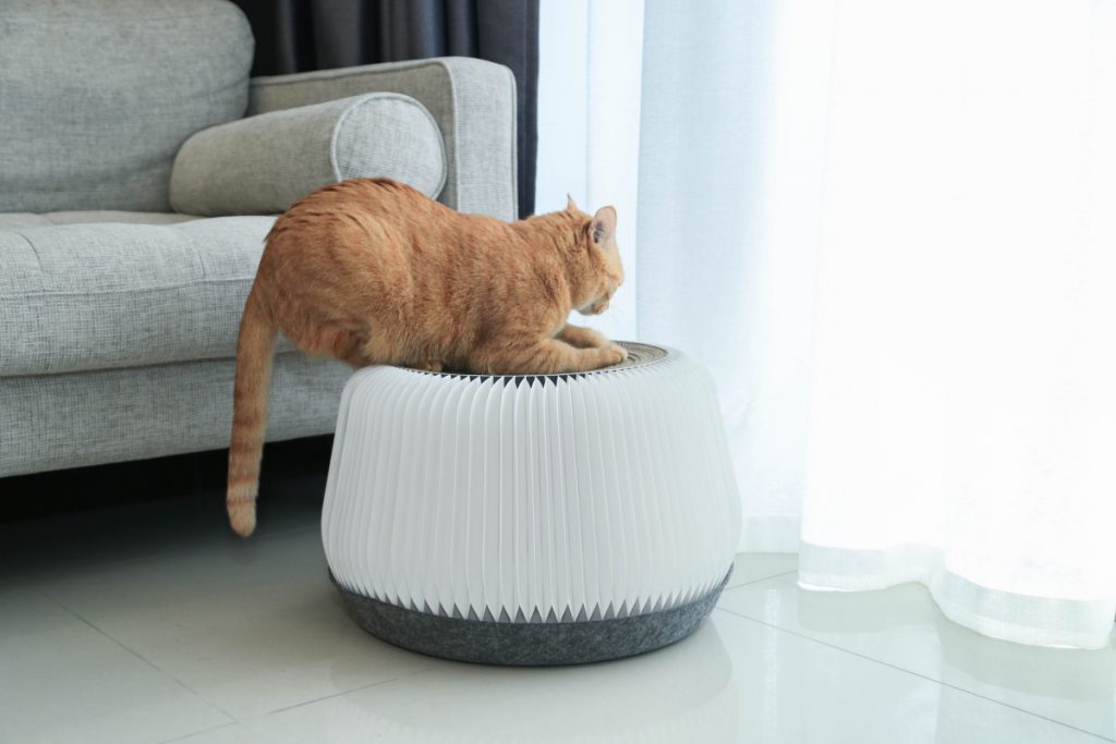 POUF 小宅貓抓凳
