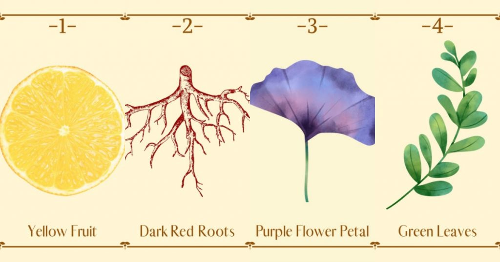 《花草魔法生活集:植物色彩占卜》疫情氛圍中,我的金錢運勢會如何發展呢?