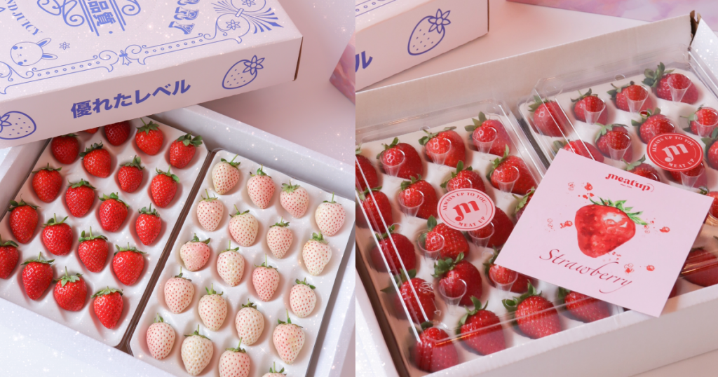 草莓禮盒