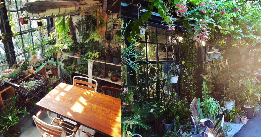 植物系咖啡廳推薦二：小青苑 Cyan Cafe