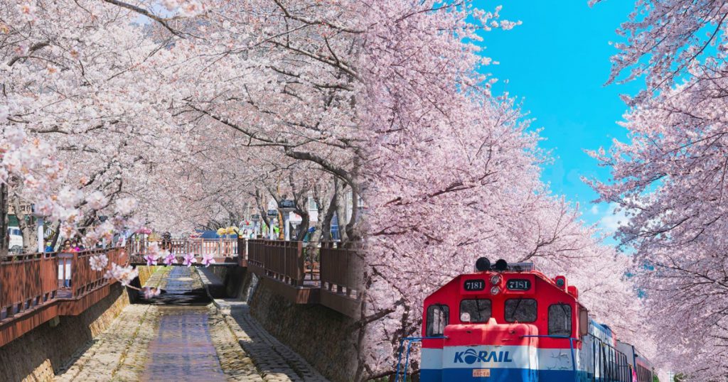  圖片來源：Naver (左)余佐川羅曼史橋、(右)慶和火車站 