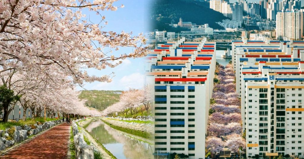  圖片來源：Naver (左)影島東三海水川、(右)廣安里彩虹公寓 
