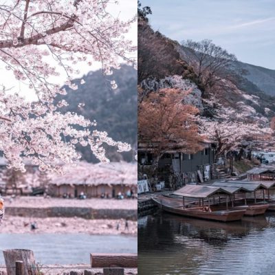 旅遊,日本,東京,櫻花祭,賞櫻,奈良,福岡,北海道,京都