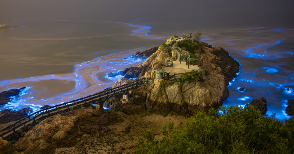 全球5大藍眼淚奇景推薦