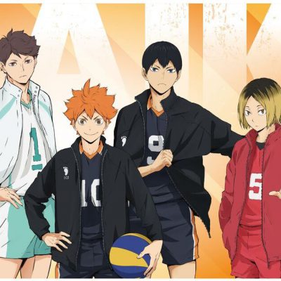 ハイキュー排球少年