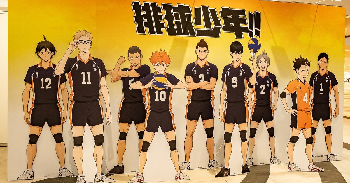 ハイキュー排球少年