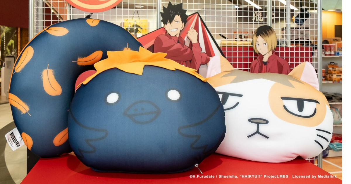 ハイキュー排球少年