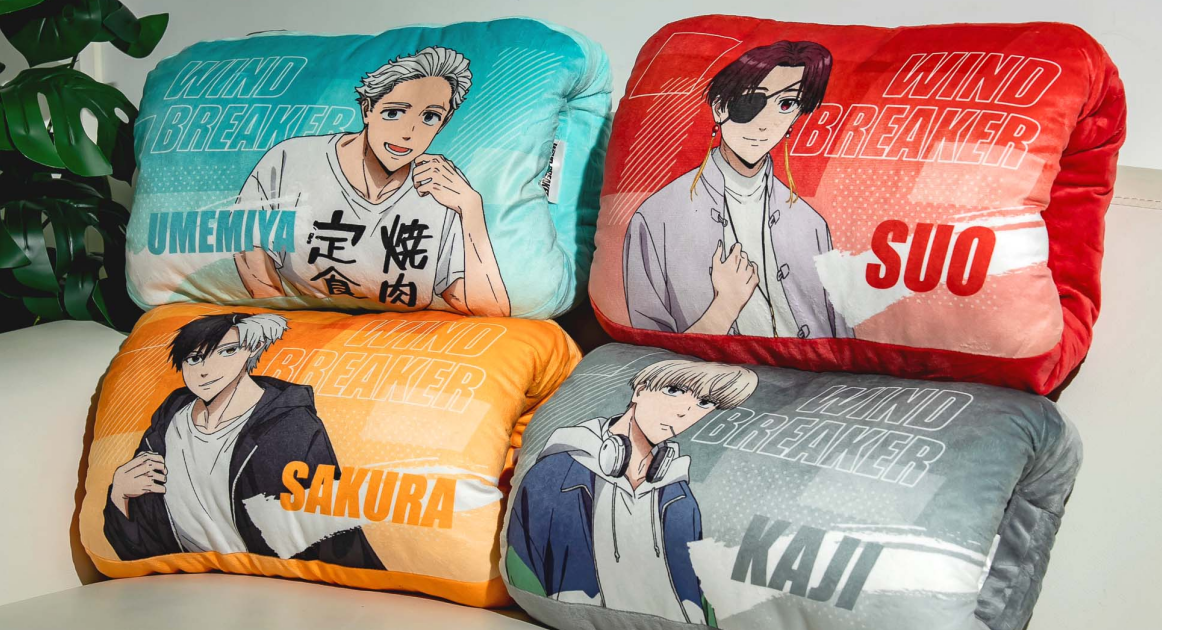 WIND BREAKER防風少年