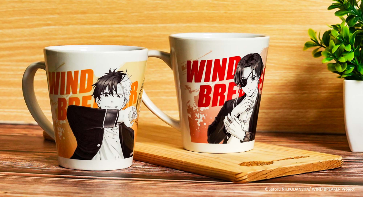 WIND BREAKER防風少年