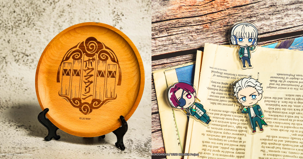 WIND BREAKER防風少年