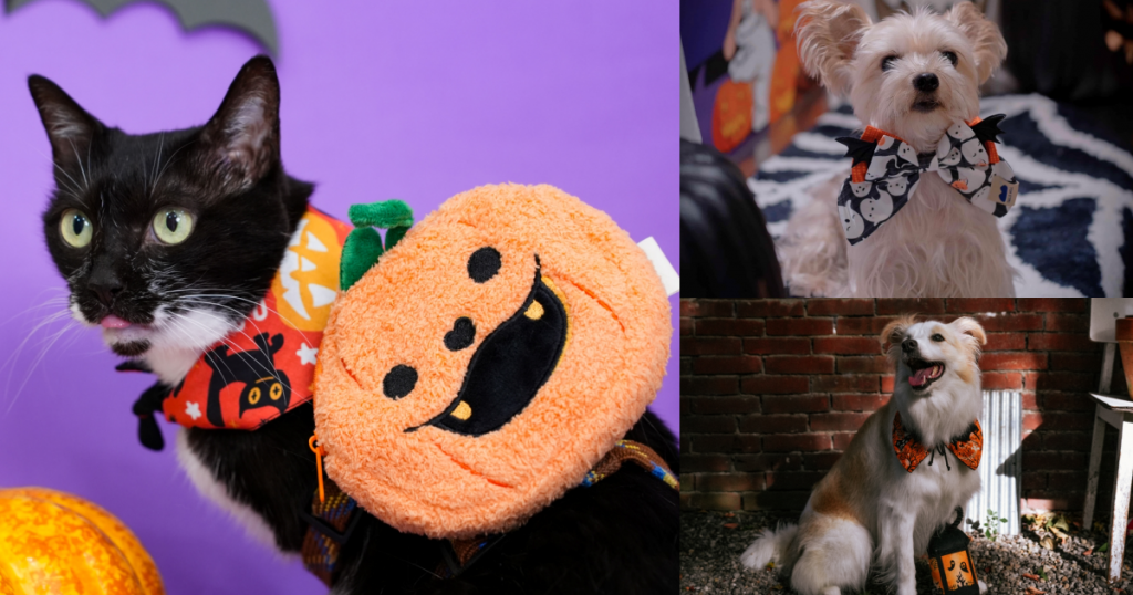 毛孩不給糖就搗蛋