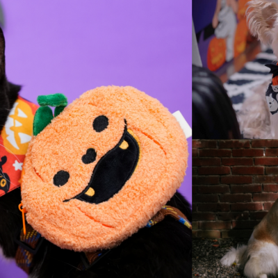 毛孩不給糖就搗蛋