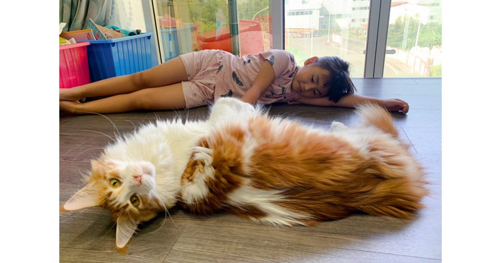 毛孩與小孩共居的安心守則