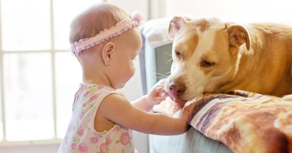 毛孩與小孩共居的安心守則